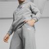 imagePUMA Mens BMW M Motorsport Essentials Fleece SweatpantsMedium Gray Heather