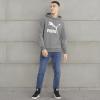 imagePUMA Mens Classics HoodieMedium Gray Heather