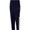 imagePUMA Mens Contrast Pants Available in Big ampamp TallBlue