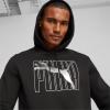imagePUMA Mens Essentials Logo Fleece Hoodie Available in Big ampamp TallPuma Black