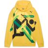 imagePUMA Mens Graphic HoodieStarlighthighlands