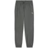 imagePUMA Mens RadCal Woven PantsMineral Grey