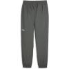 imagePUMA Mens RadCal Woven PantsMineral Grey
