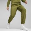 imagePUMA Mens RadCal Woven PantsOlive Green