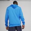 imagePUMA Mens Teamgoal Training HoodieIgnite Bluepuma Whitepuma Team Royal