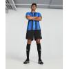 imagePUMA Mens Teamliga JerseyElectric Blue Lemonadepuma Blackpuma White