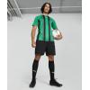 imagePUMA Mens Teamliga JerseyPepper Greenpuma Blackpuma White