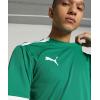 imagePUMA Mens Teamliga JerseyPepper Greenpuma White