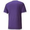 imagePUMA Mens Teamliga JerseyPrism VioletPuma White
