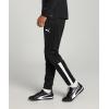 imagePUMA Mens Teamliga Training PantsBlack