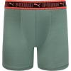 imagePUMA boys 5 Pack Performance Boxer BriefsBlueGreen