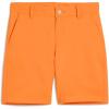 imagePUMA Boys Stretch ShortRickie Orange