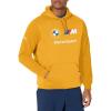 imagePUMA Mens BMW M Motorsport Essentials Fleece HoodieAmber