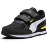 Puma Black-puma White-meadowlark