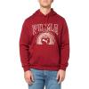 imagePUMA mens Vintage Sport HoodieIntense Red