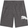 imagePUMA Boys Core Essential Athletic ShortsCharcoal Heather