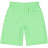 imagePUMA Boys Fashion Swim Trunks Water Repellant Elastic Waistband with DrawcordElektro Green