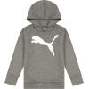 imagePUMA Boys Logo Pullover Hoodie Fleece Sweatshirt Large Front PocketCharcoal Heather