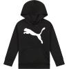 imagePUMA Boys Logo Pullover Hoodie Fleece Sweatshirt Large Front PocketPuma Black