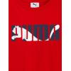 imagePUMA boys 2 Piece Set Short Sleeve Cotton Jersey Tshirt ampamp Matching ShortAll Time Red