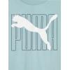 imagePUMA boys 3 Piece Set Short Sleeve Cotton Jersey Tshirts ampamp Matching Tricot PantHeather GreyMint