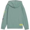 imagePUMA boys Hot Wheels Relaxed Cotton Graphic HoodieGreen Moon