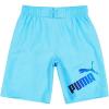 imagePUMA Boys Fashion Swim Trunks Water Repellant Elastic Waistband with DrawcordHero Blue