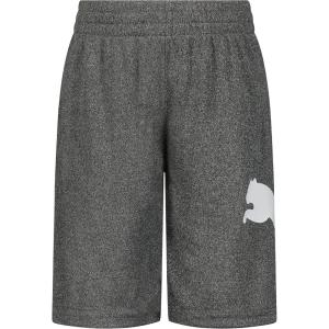 imagePUMA Boys Core Essential Athletic ShortsCharcoal Heather