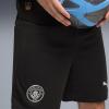 imagePUMA Manchester City FC 202526 Replica Mens ShortsBlack