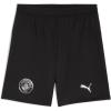 imagePUMA Manchester City FC 202526 Replica Mens ShortsBlack
