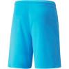 imagePUMA Mens Teamliga ShortsBlue AtollPuma Black