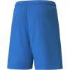 imagePUMA Mens Teamliga ShortsElectric Blue Lemona