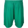 imagePUMA Mens Teamliga ShortsPepper Greenpuma White