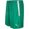 imagePUMA Mens Teamliga ShortsPepper Greenpuma White