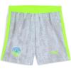 imagePUMA Manchester City FC 202526 Replica Kids ShortsPro Green
