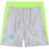 imagePUMA Manchester City FC 202526 Replica Mens ShortsPro Green