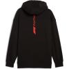 imagePUMA Mens Standard Formula 1 Graphic Hoodie Black SS25 Large