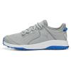 Flat Light Gray Puma Silver Puma Team Royal